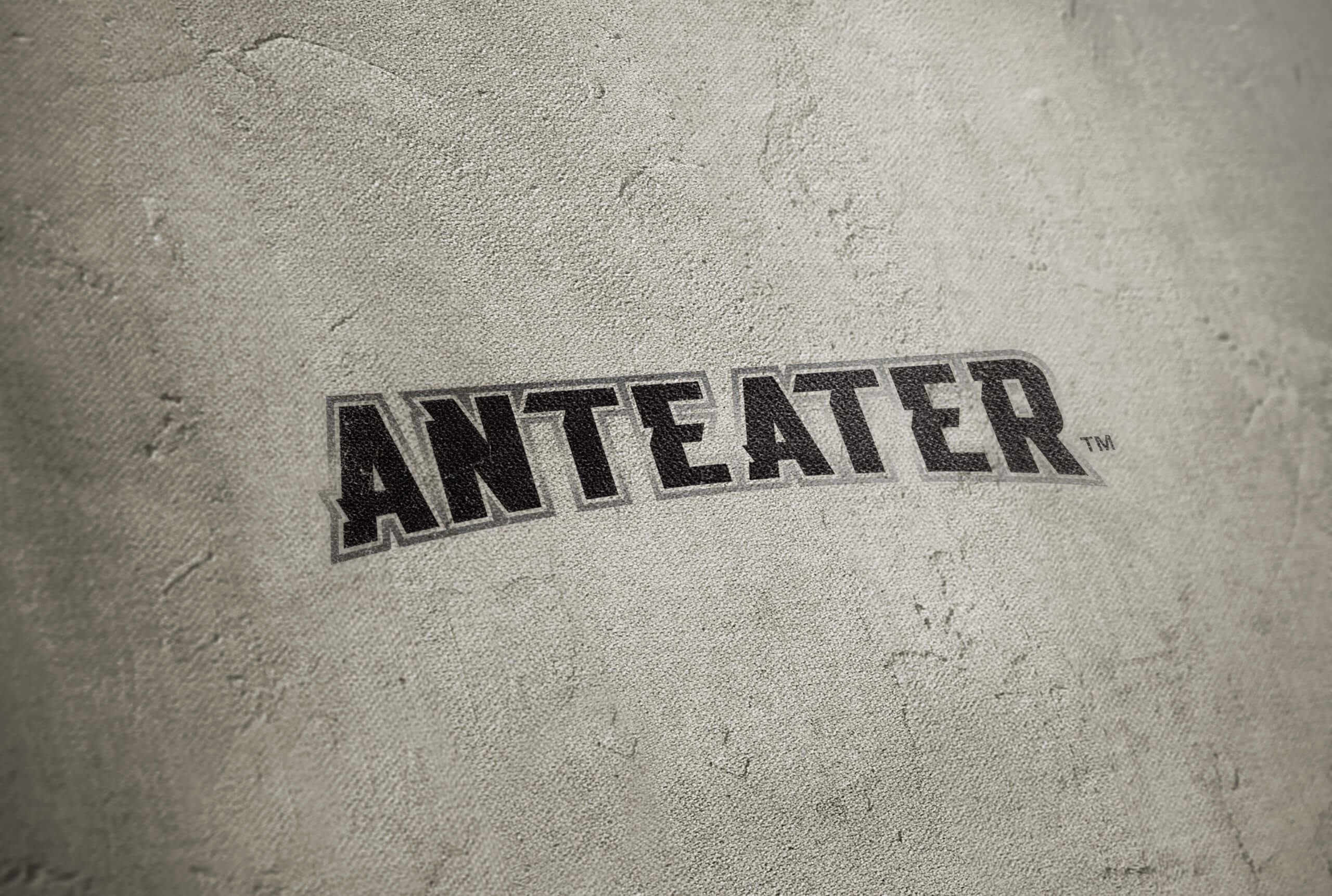 Anteater, Logo Design, Corporate Identity